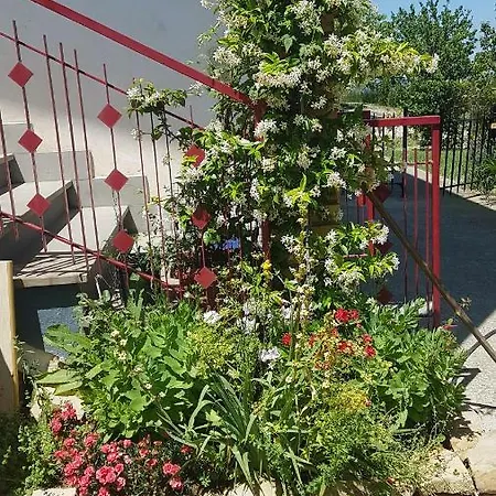 Casa Caterina Дом отдыха Пенне